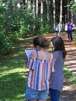 Exploring the School Forest