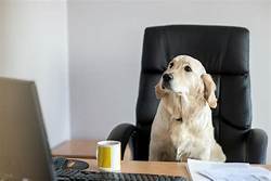 Bring Your Pet to School Day!