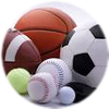 Floodwood Athletics